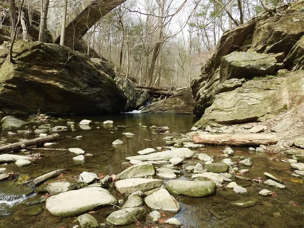 岩の多い裸の木に囲まれた川の広いショット — ストック写真