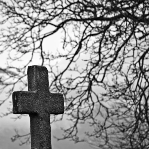 Foto ravvicinata di una croce rocciosa con un albero sfocato sullo sfondo in bianco e nero — Foto Stock