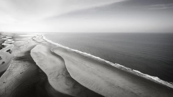 Zdjęcie w skali szarości piaszczystej plaży w pobliżu spokojnego oceanu — Zdjęcie stockowe