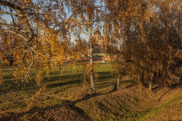 Hermosa foto de árboles de hojas marrones y amarillos en un campo de hierba en Rusia —  Fotos de Stock