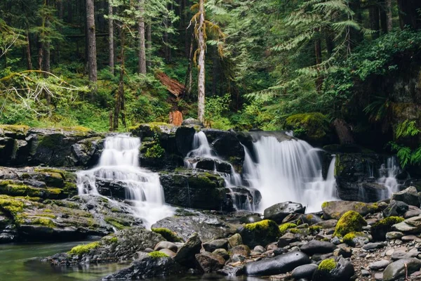 Wide shot of small cascade falls flowing down a trail surrounded by trees and green plants