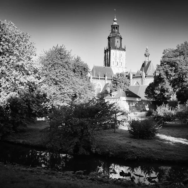 Graustufenaufnahme eines hohen Kirchengebäudes, umgeben von Bäumen in Wassernähe — Stockfoto