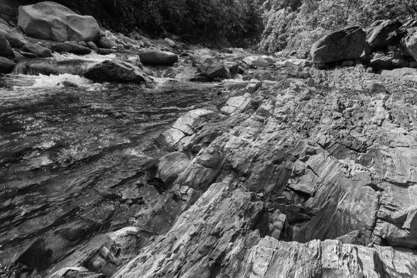 Beautiful shot of water stream in the middle of rocks surrounded by trees in black and white — Stock Photo, Image