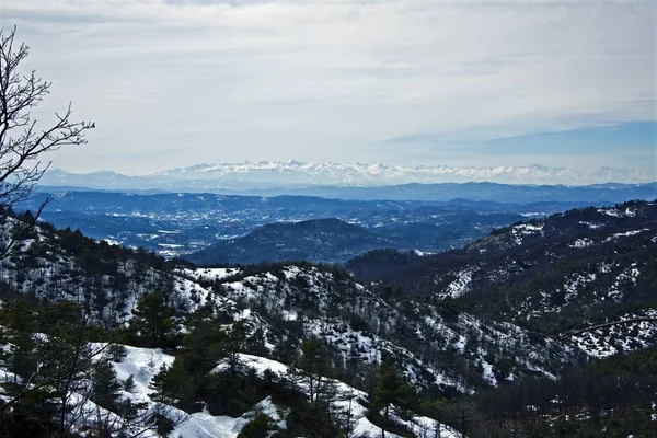 Hög vinkel skott av snöiga skogsklädda berg under en blå molnig himmel — Stockfoto