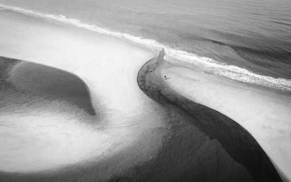 공중 회색 머리 황새는 대양의 파도 근처 해변에 있는 길을 찍었다 — 스톡 사진