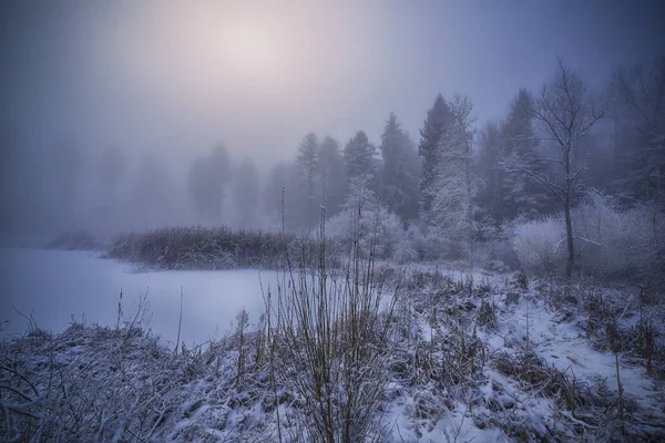 Belle photo d'un étang gelé près d'un rivage enneigé avec des arbres et un fond brumeux — Photo