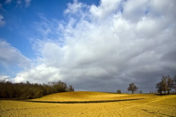 Hermosa toma de un campo herboso seco con árboles bajo un cielo azul nublado —  Fotos de Stock