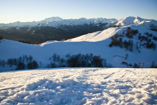 Belo tiro de montanhas nevadas com árvores sob um céu azul claro durante o dia — Fotografia de Stock