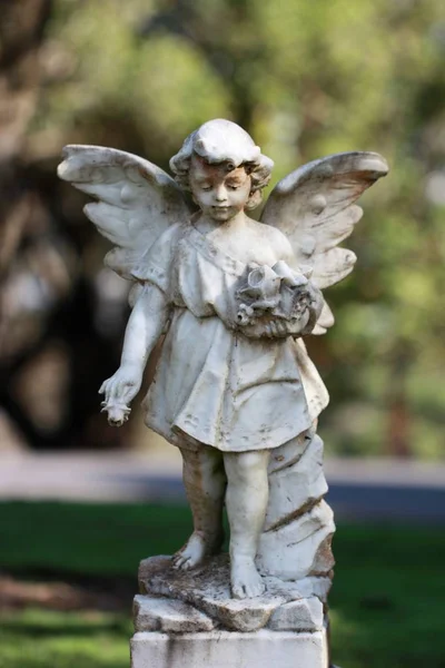 Tiro vertical da estátua de um anjo com um fundo borrado — Fotografia de Stock