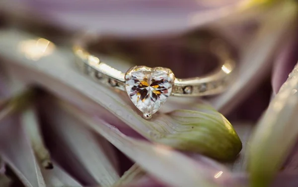 Selektiv närbild fokus skott av en hjärtformad diamant ring på en blomma med en suddig bakgrund — Stockfoto