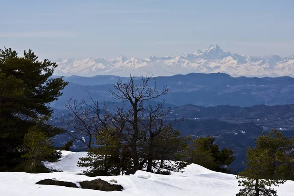 Krásný záběr stromů na zasněženém kopci s horami v dálce — Stock fotografie