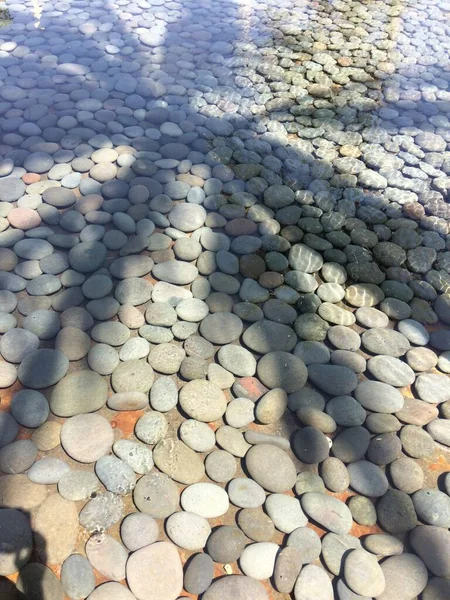 Plan vertical en angle élevé de gravier sous un plan d'eau peu profond avec une ombre de palmier — Photo