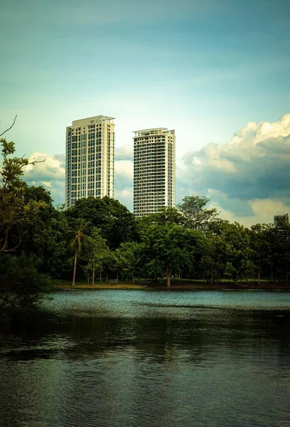 Pionowe ujęcie wieżowców otoczonych zielonymi drzewami przez akwen wody pod błękitnym niebem — Zdjęcie stockowe