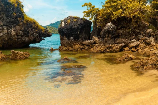 Schöne Aufnahme von Felsen mit Bäumen und Pflanzen im Wasser — Stockfoto