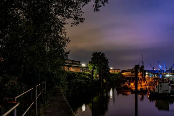 Beau plan d'arbres verts et de bâtiments sur le quai reflétés dans l'eau la nuit — Photo