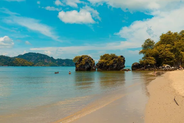 Hermosa toma de la orilla del mar con árboles en el agua bajo un cielo azul — Foto de Stock