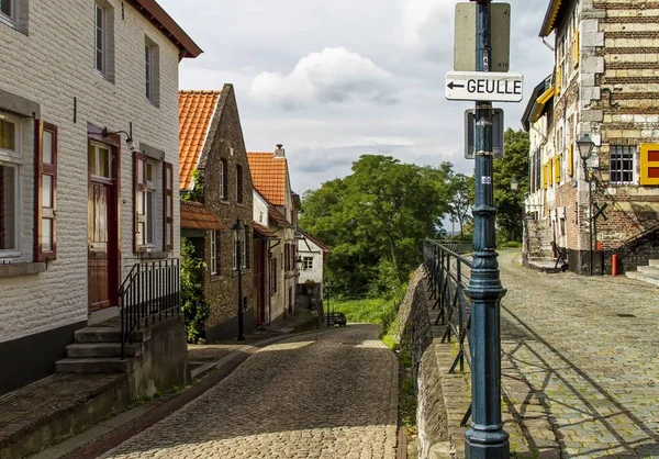 Horizontale opname van een wijk met een smalle straat en groene bomen onder de bewolkte lucht — Stockfoto