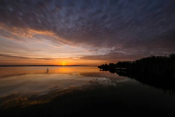 Silhouette d'arbres près de l'eau sous un ciel nuageux — Photo