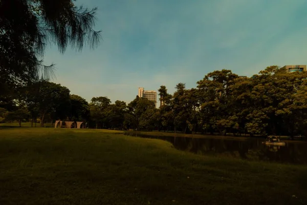 Wide shot of green grass field on the lakeside surrounded by trees under a blue sky — 스톡 사진