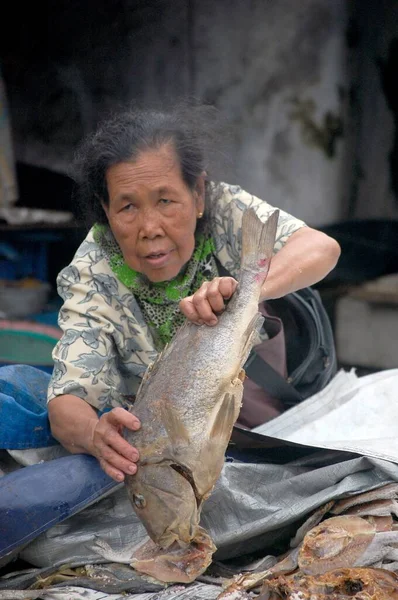 늙은 물고기 독어 — 스톡 사진