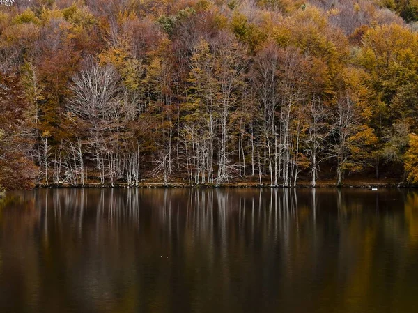 Bred bild av den vackra Montseny bergskedjan omgiven av färgglada träd på hösten i Spanien — Stockfoto