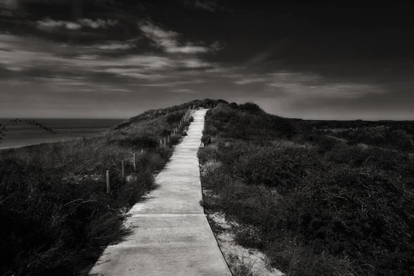 Escala de grises de un camino estrecho de piedra en medio de un campo bajo un cielo nublado oscuro — Foto de Stock