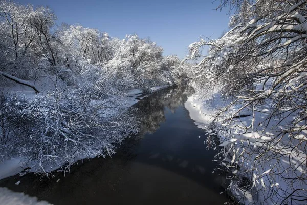 Beautiful shot of a river surrounded with trees covered in snow during winter in Moscow, Russia — Stock Photo, Image