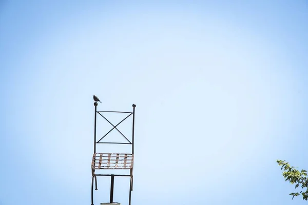 Largo tiro de um pardal sentado na orelha de uma cadeira preta no fundo de um céu azul — Fotografia de Stock