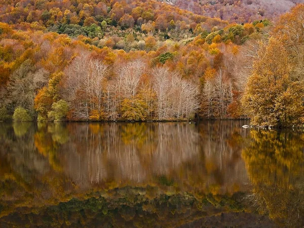 Vue d'ensemble de la magnifique chaîne de montagnes de Montseny entourée d'arbres colorés en automne en Espagne — Photo