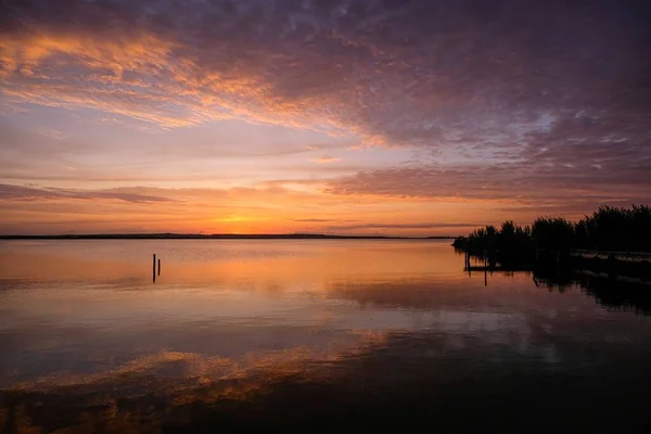 Silhouette of trees near the water under a cloudy sky — Stock Photo, Image