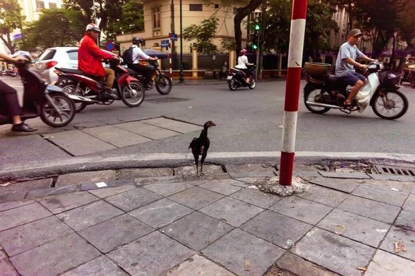 Menschen in der Stadt Hanoi (Vietnam)) — Stockfoto