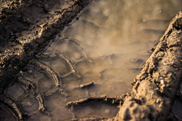 Closeup shot of a tire mark in the mud, filled with dirty water — Stock Photo, Image