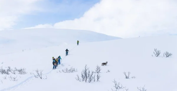 Wide Shot Group People Dog Hiking Mountains Covered Snow Cloudy — Stock Photo, Image
