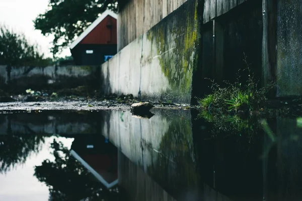 Worm\'s eye view of a water puddle in a backyard with walls covered in moss and a red house visible