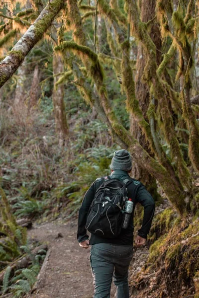 Male walking on a pathway in the middle of trees in a forest with blurred background — Stock Photo, Image