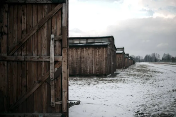 Birkenau — Foto Stock