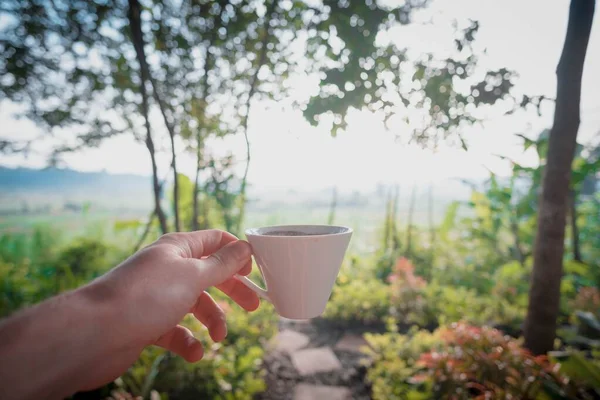 Выборочный сфокусированный снимок руки человека с чашкой белого кофе в саду . — стоковое фото