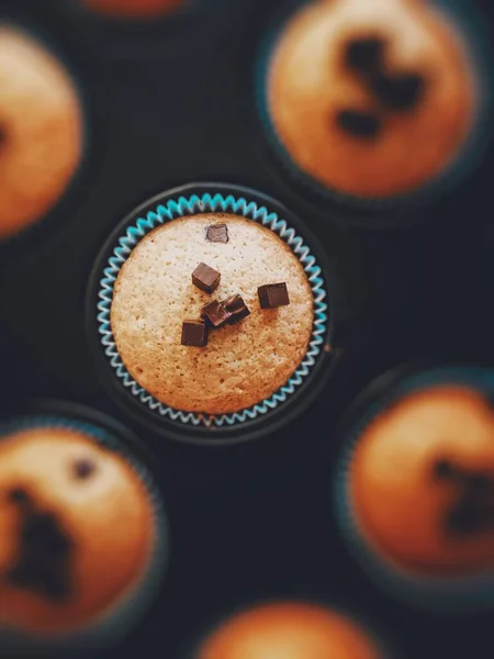 Gros plan vertical de délicieux cupcake avec des morceaux de chocolat sur le dessus — Photo