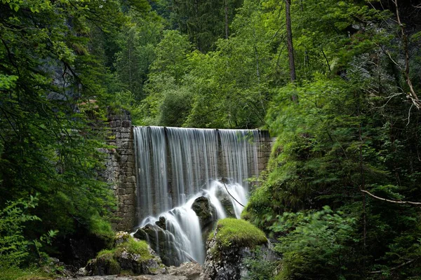 美丽的瀑布在森林里被绿叶树木和植物环绕 — 图库照片