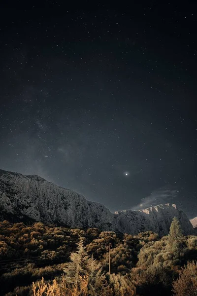 Plano Vertical Árboles Cerca Montañas Bajo Cielo Oscuro Lleno Estrellas —  Fotos de Stock