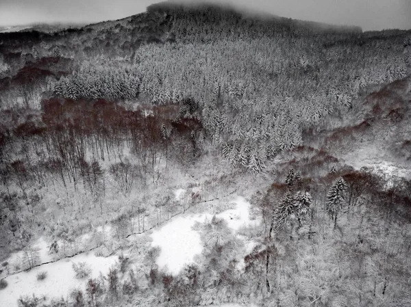 Tiro Aéreo Uma Floresta Coberta Neve Com Efeito Negativo Conceito — Fotografia de Stock