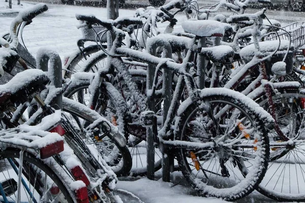 Sidewalk met fietsen bij elkaar geparkeerd bedekt met sneeuw — Stockfoto