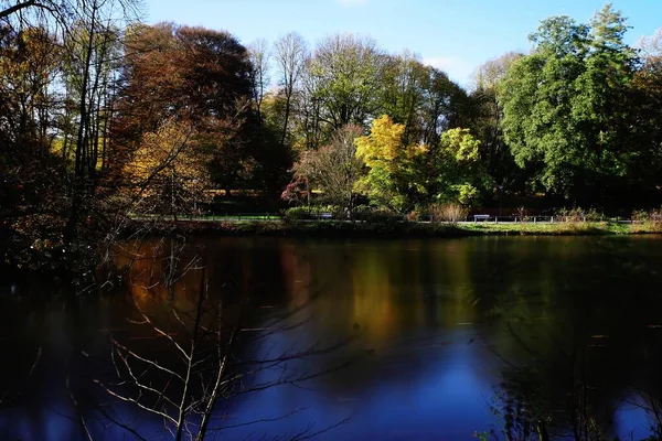 Estanque en un parque con árboles y un banco cerca del agua con un cielo azul en el fondo —  Fotos de Stock