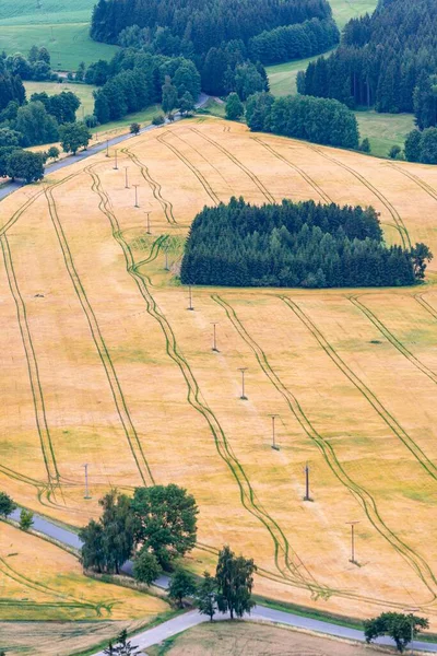 Verticaal schot van geel grasveld met elektriciteitsleidingen. Perfect voor het weergeven van landelijke scenario 's. — Stockfoto
