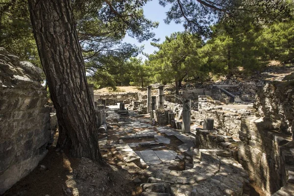 Wide shot of the ancient stone ruins of city of Priene in Turkey — Stock Photo, Image
