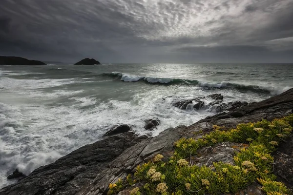 Belle vue d'un ruisseau coulant près de falaises rocheuses avec de l'herbe sous un ciel gris — Photo