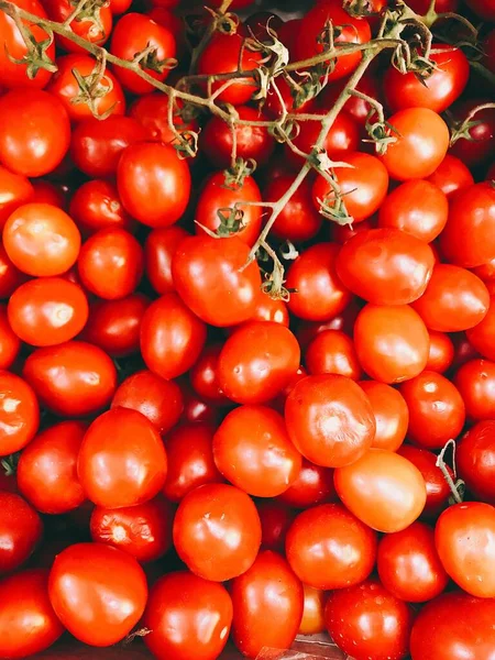 Κάθετη κοντινή λήψη πολλών κόκκινων τοματών - ιδανικό για ένα άρθρο σχετικά με τη γεωργία — Φωτογραφία Αρχείου