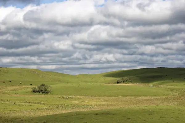 Prachtig shot van een groen veld onder de witte bewolkte lucht — Stockfoto