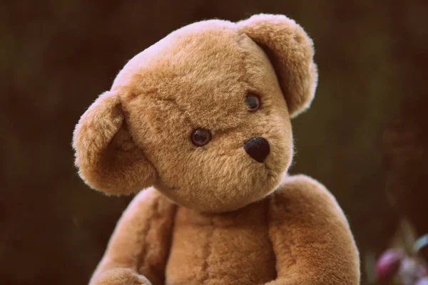 Selektiv närbild bild av en söt handgjord björn plysch leksak - verkar som han tittar på världen — Stockfoto