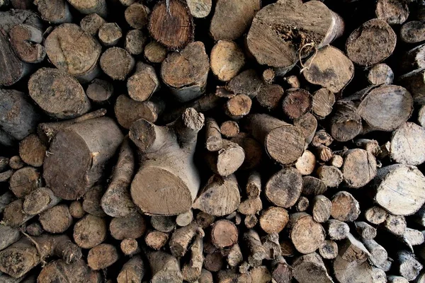 Close-up tiro de uma pilha de troncos de árvore - ótimo para um fundo incrível — Fotografia de Stock
